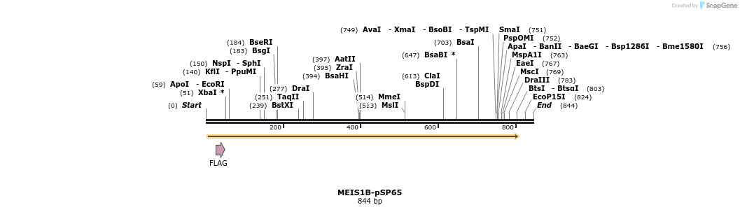 26825_map