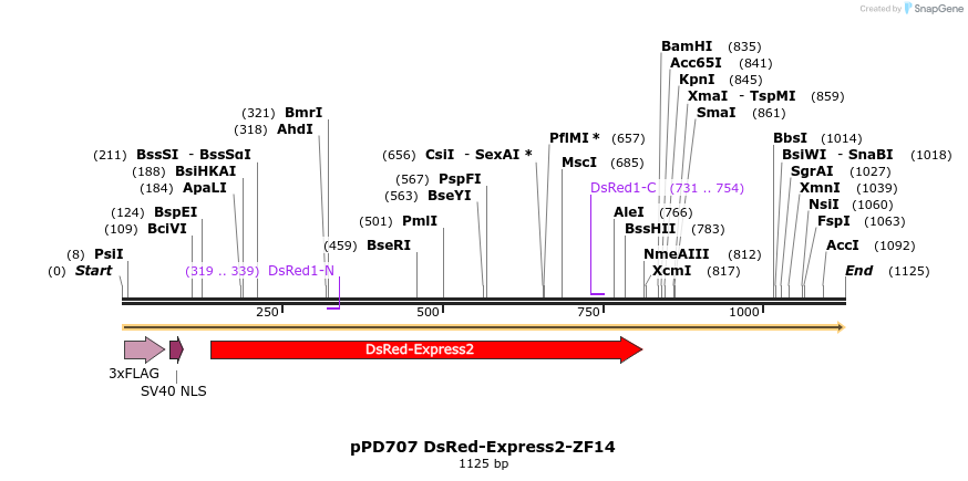 268255_map