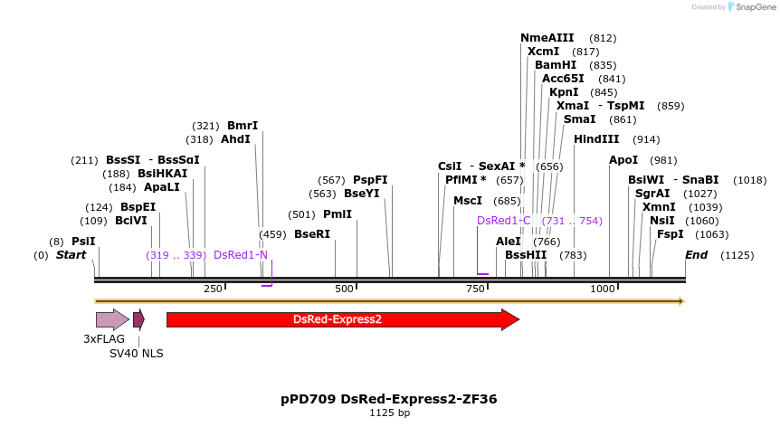 268259_map