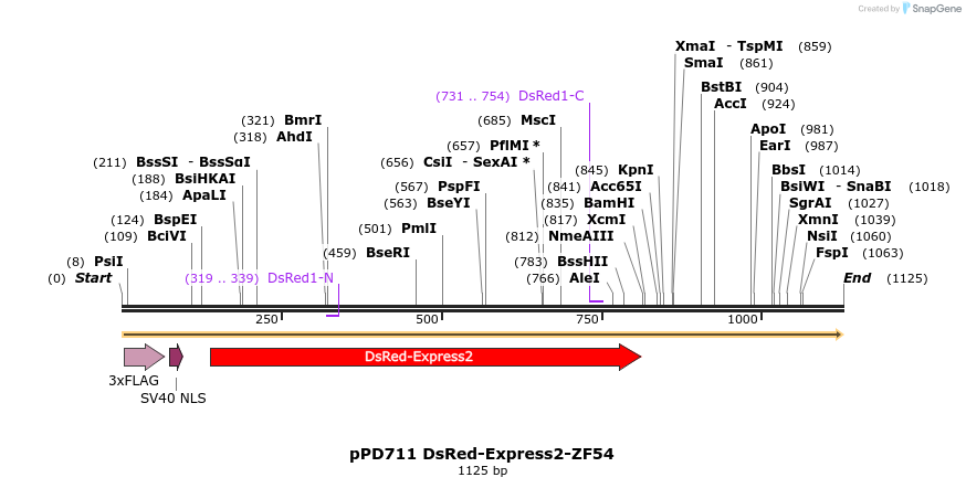 268267_map