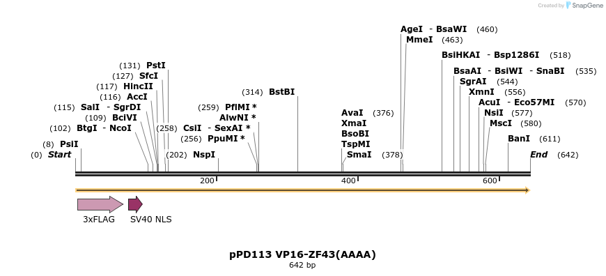 268303_map