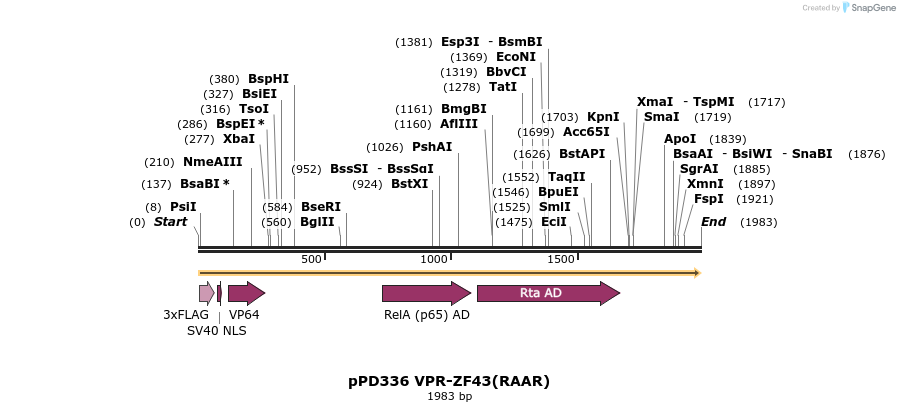 268313_map