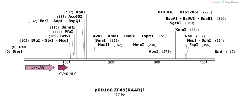 268323_map
