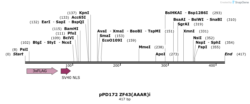 268331_map