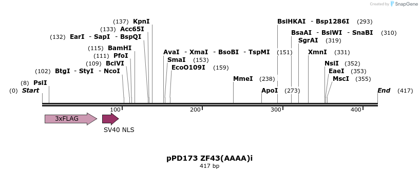 268333_map
