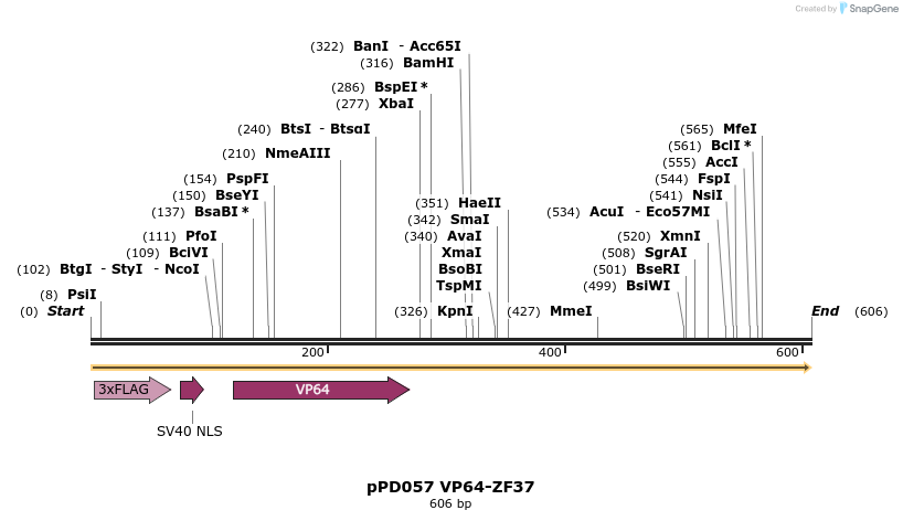 268335_map