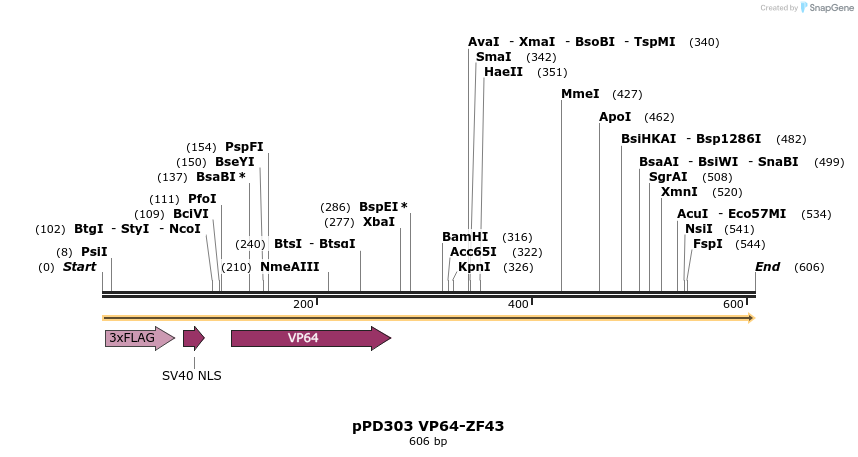 268337_map