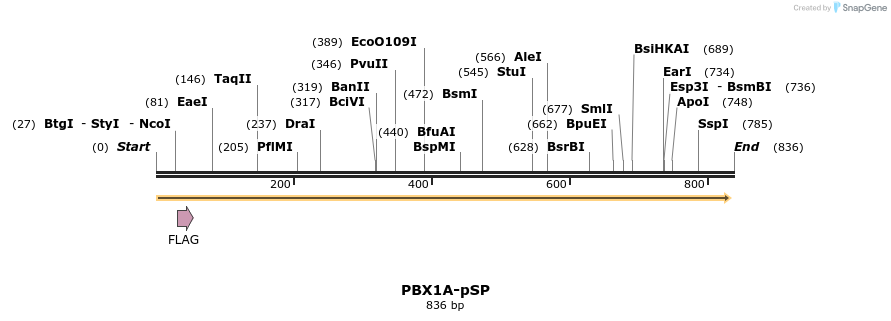 26835_map
