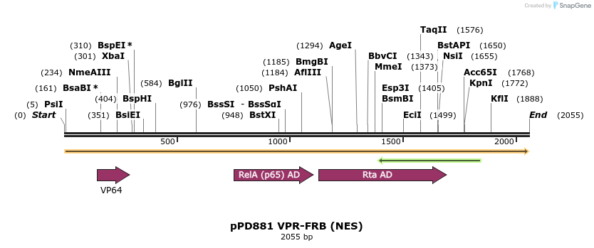 268373_map