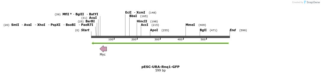 26855_map