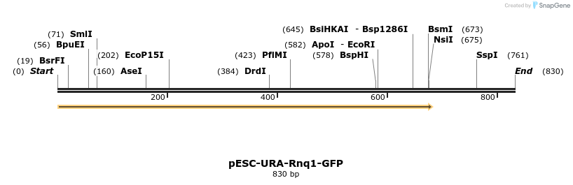 26856_map