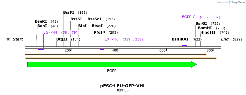 26860_map
