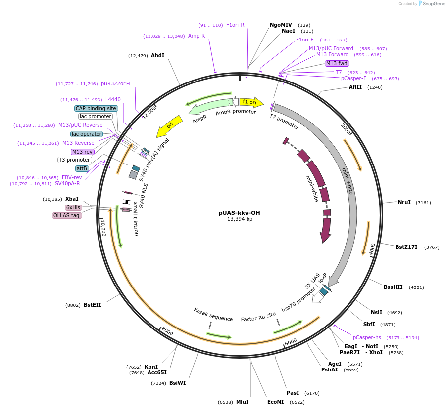 268602_map