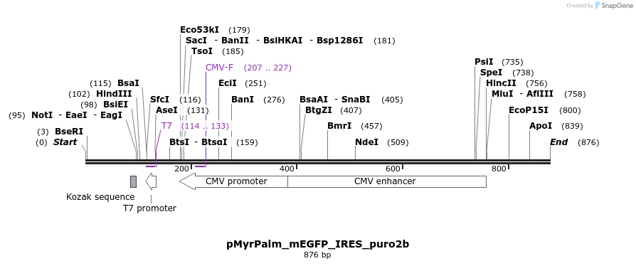 26862_map