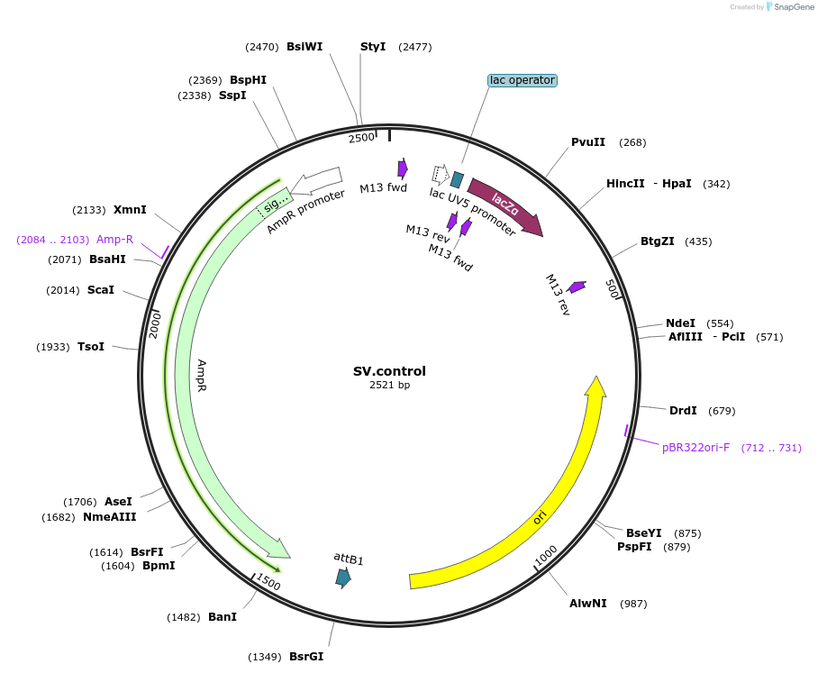 133932-plasmid-map-sequence-id-268620