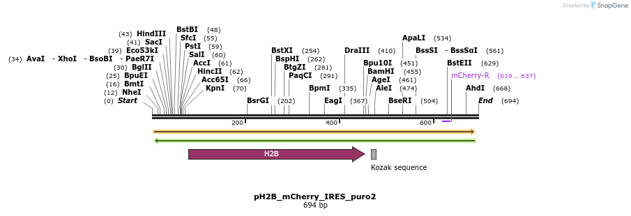 26871_map