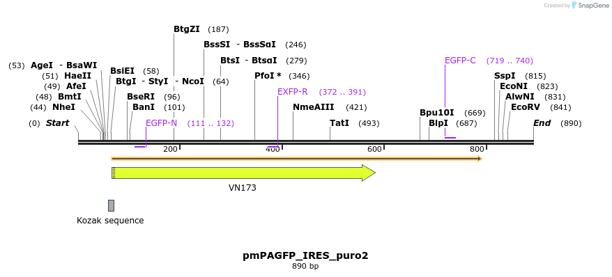26872_map