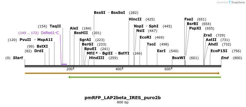 26873_map