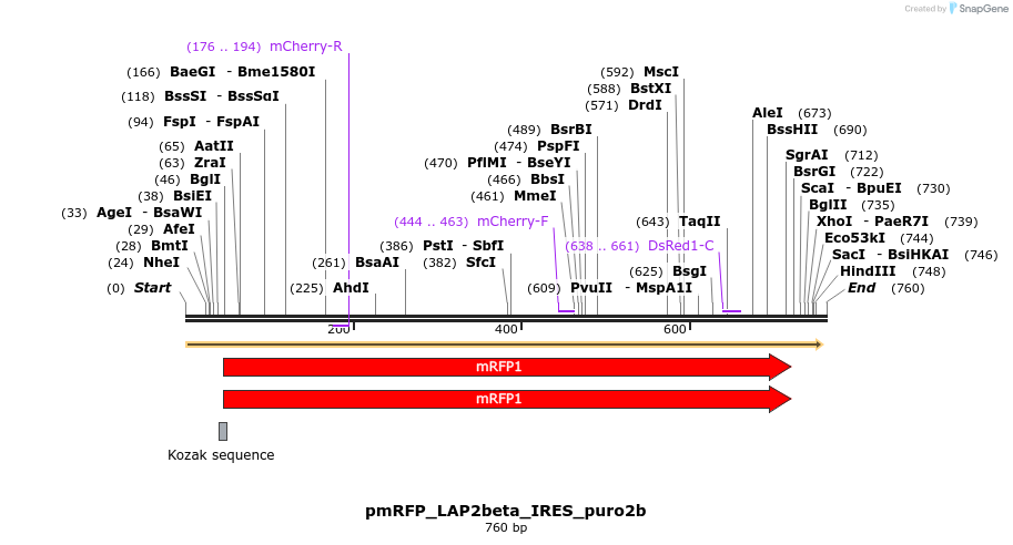 26874_map