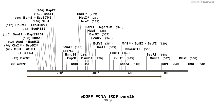 26875_map