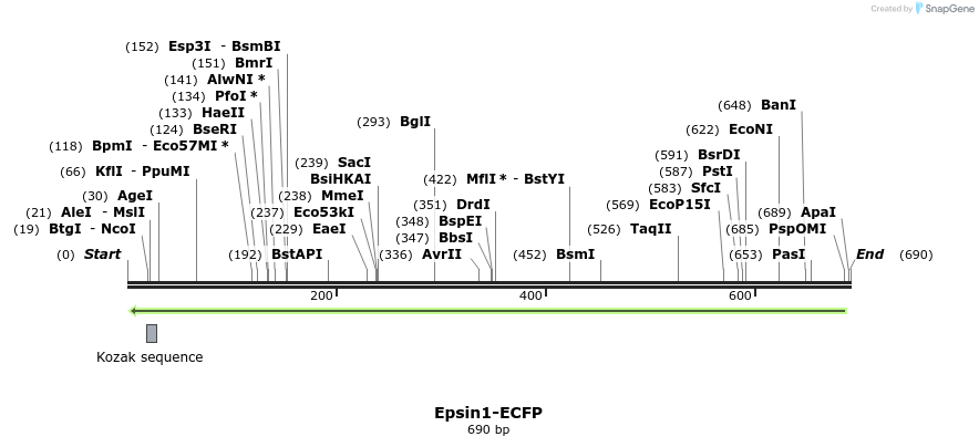 26885_map