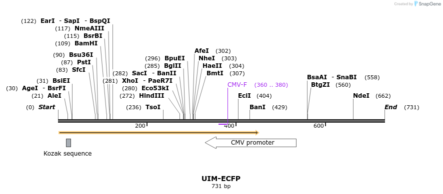 26886_map