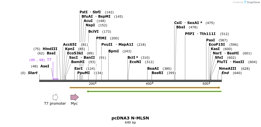 26890_map