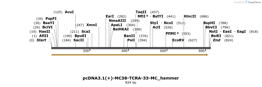 268904_map