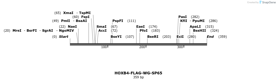 26893_map