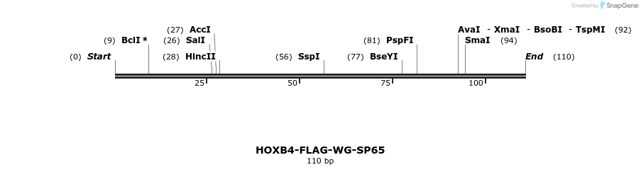26895_map