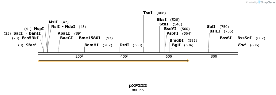 268987_map