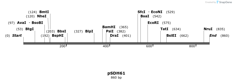 268988_map
