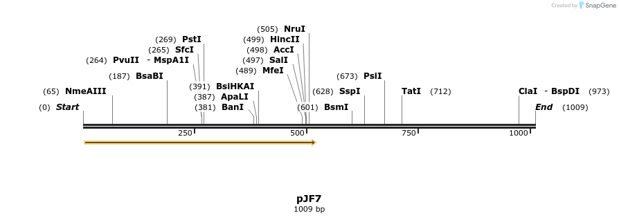 268989_map