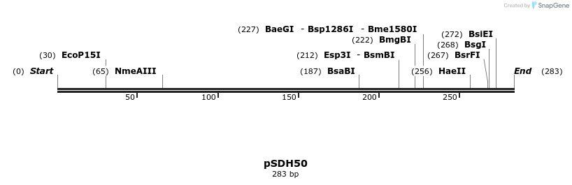 268990_map