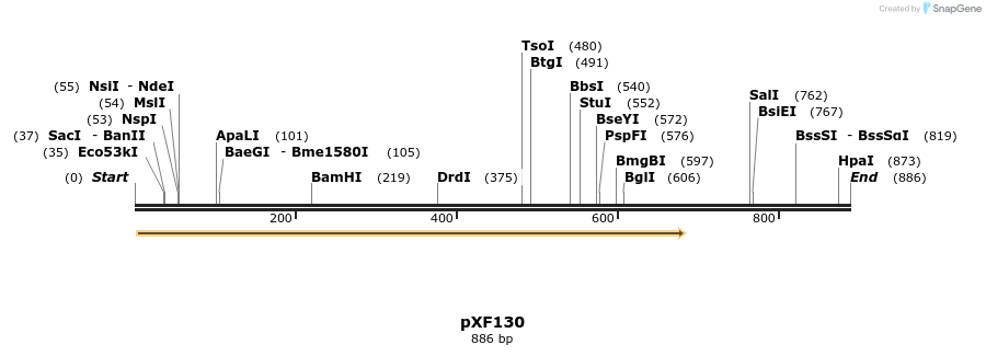 268994_map