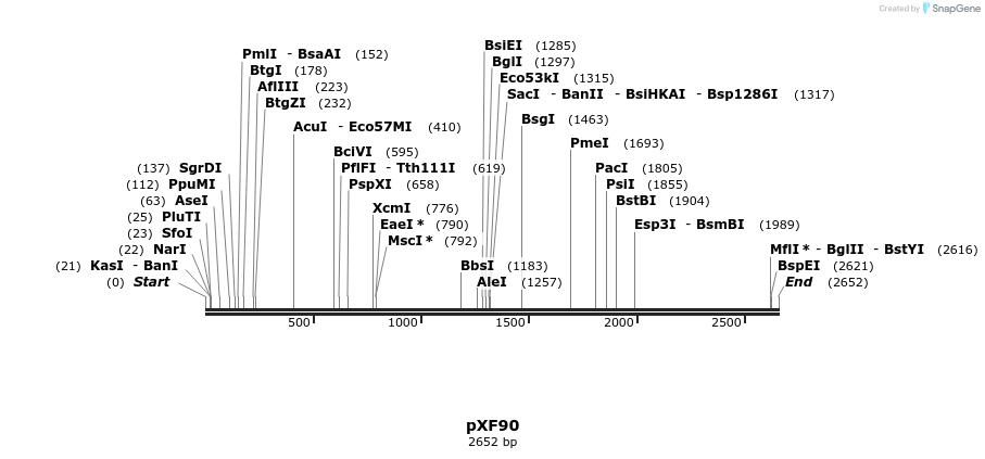 268995_map