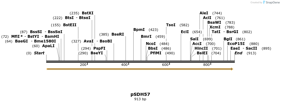 268997_map