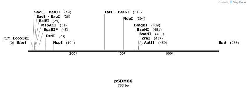269002_map
