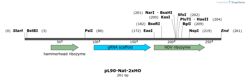 269042_map
