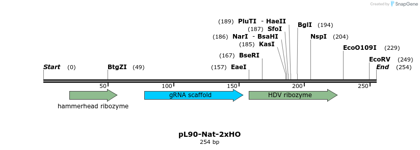 269043_map