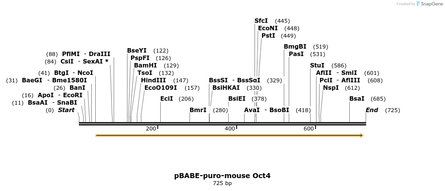 26906_map