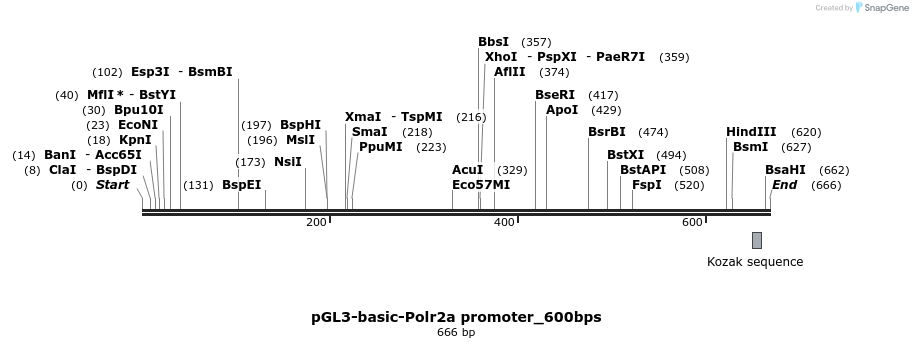 26907_map