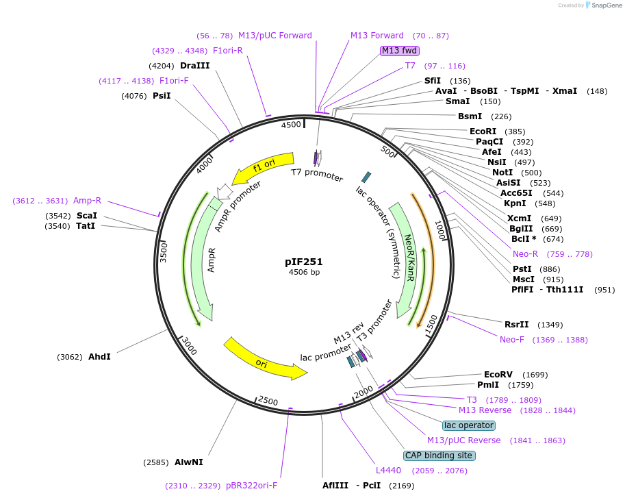 133935-plasmid-map-sequence-id-269109