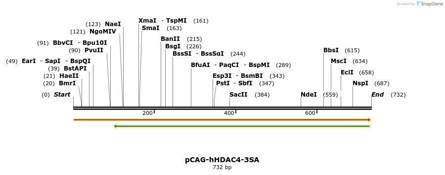 26913_map