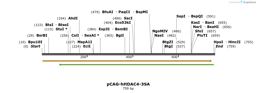 26914_map