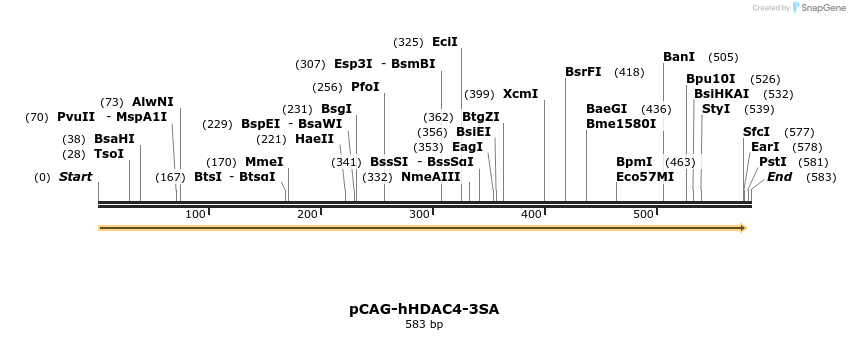 26915_map