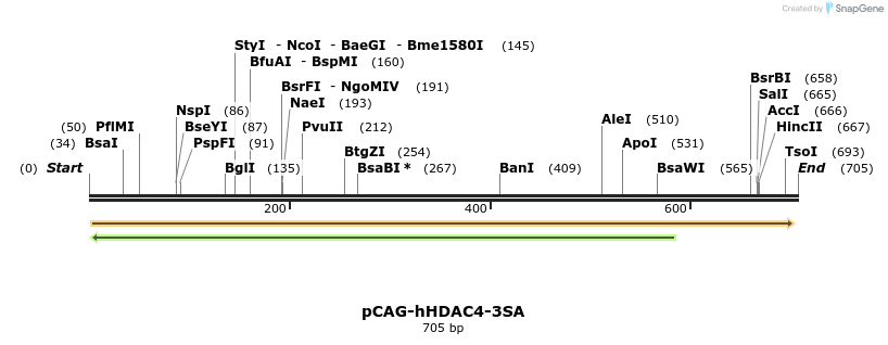 26916_map
