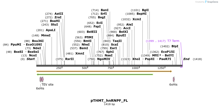 269179_map