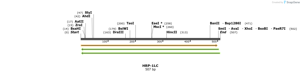 269181_map