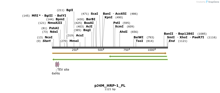 269182_map